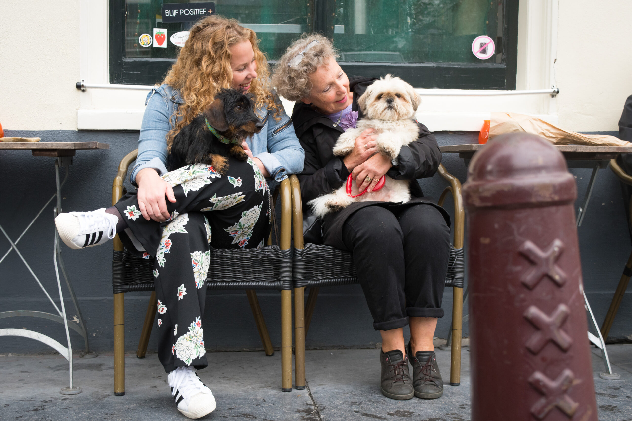 Suus En Sem Willen Een Huisdier